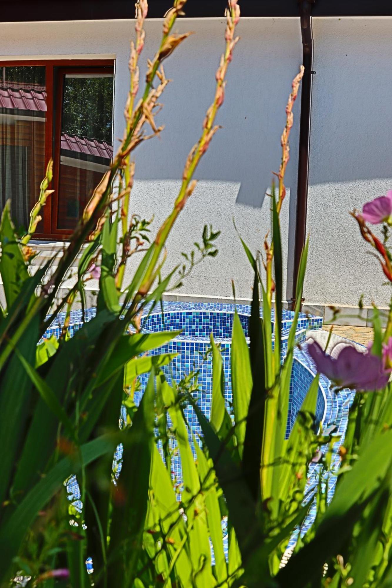 Holiday House Kubrat Saparewa Banja Exterior foto